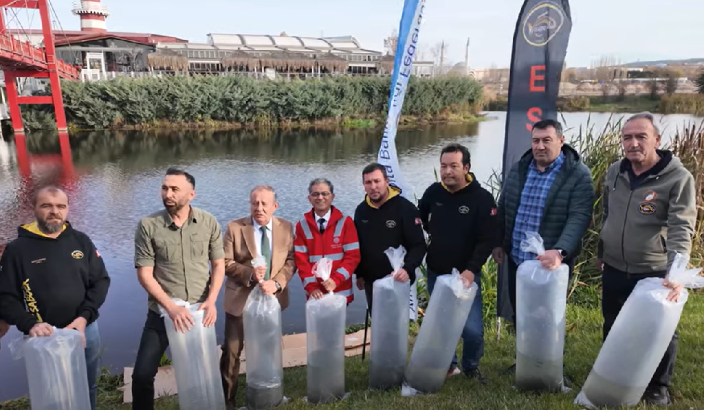 PORSUK ÇAYI’NA 5.000 ADET SAZAN BALIĞI YAVRUSU BIRAKTIK